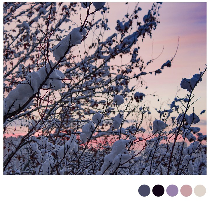 Winter