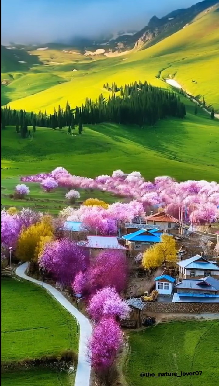 nature