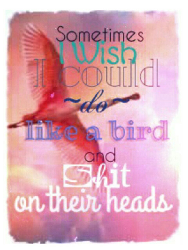 Do like a bird
