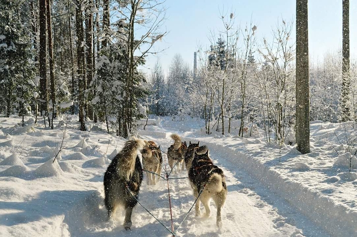 perfect winter
