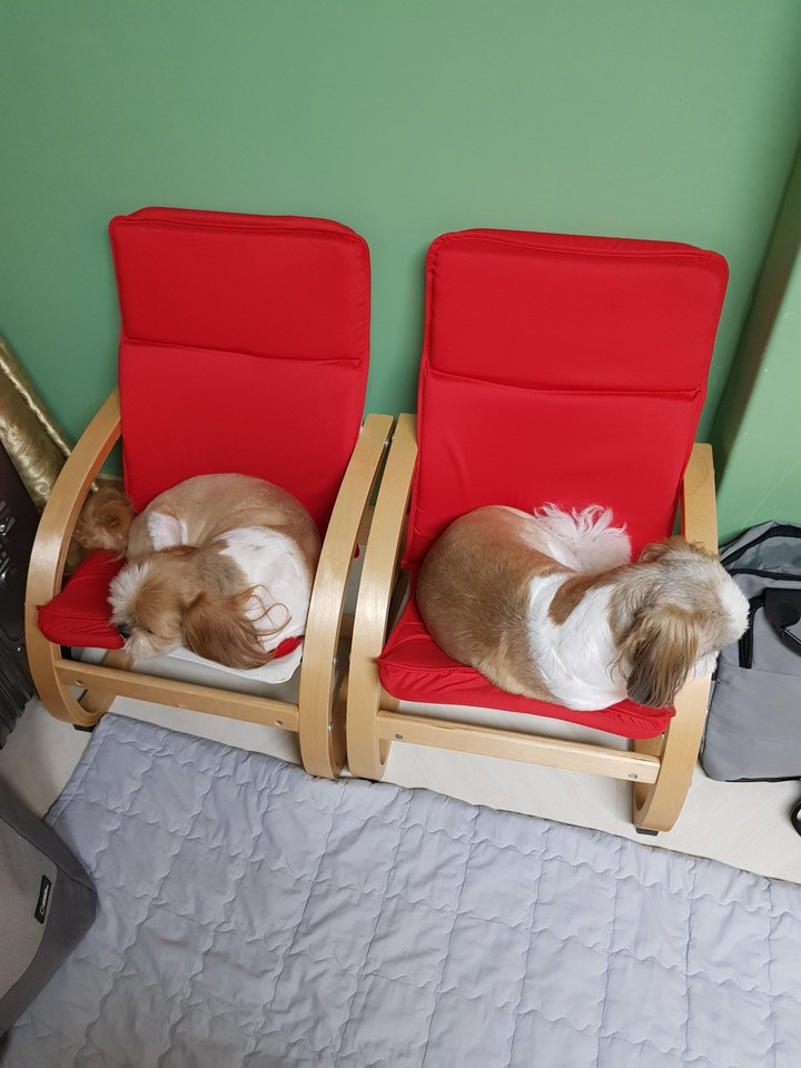개호텔