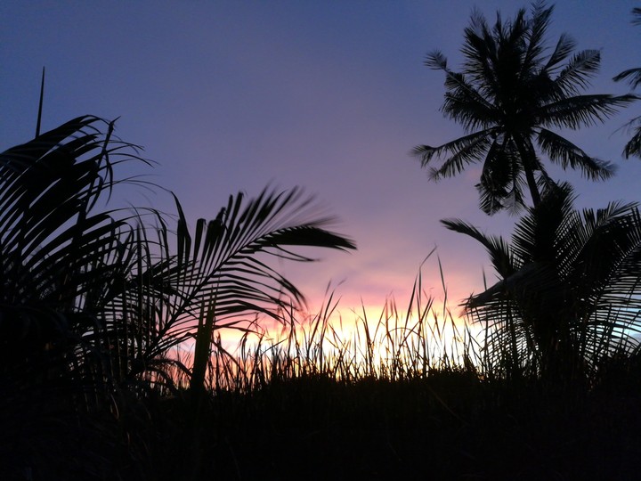 sunset