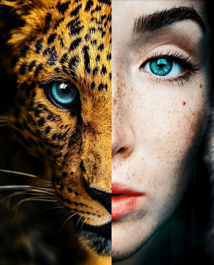 beauty