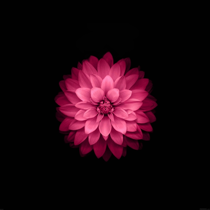 hrishikey wallpaper
