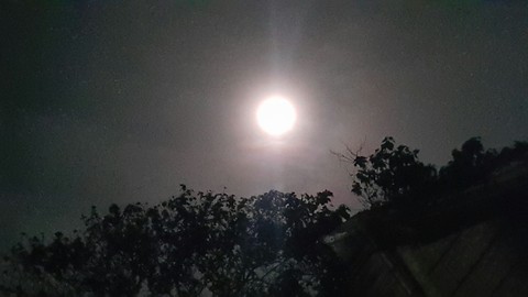 Moon