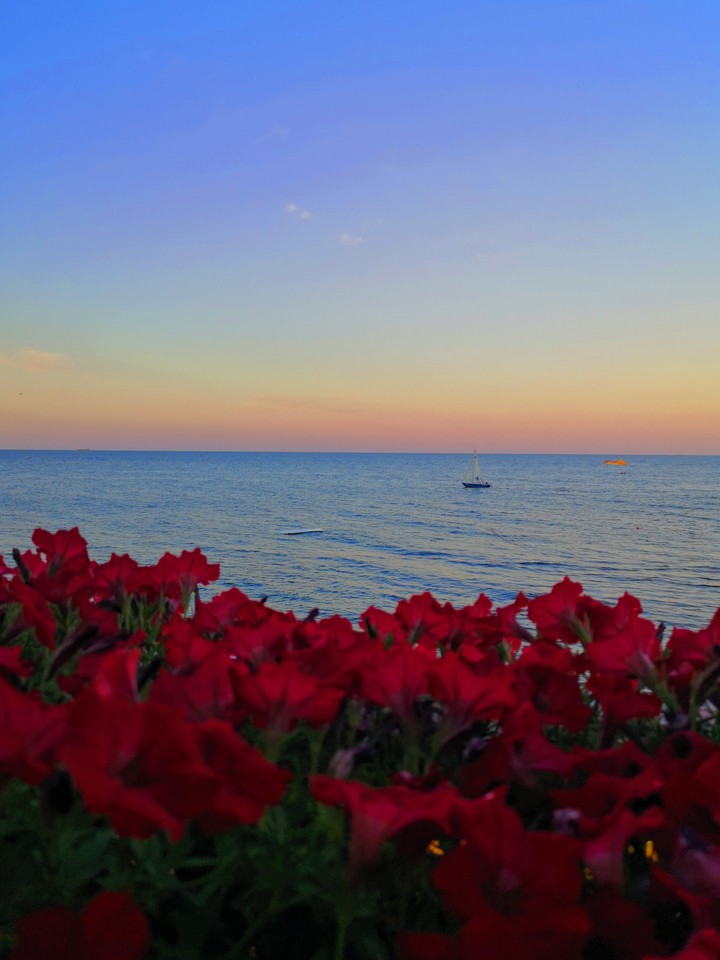 sea