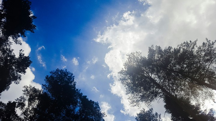 sky