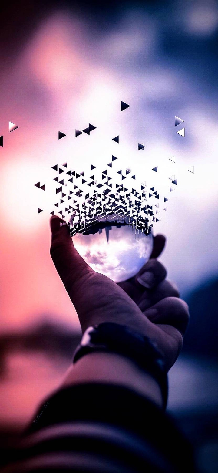 free ambitions