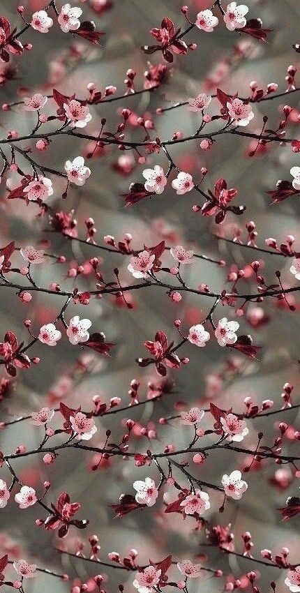 springs wallpaper