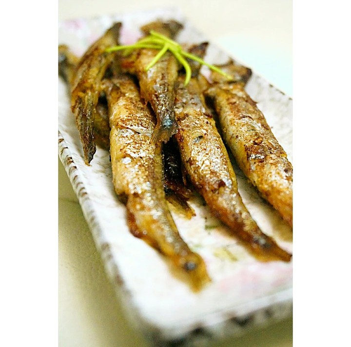 Pacific saury