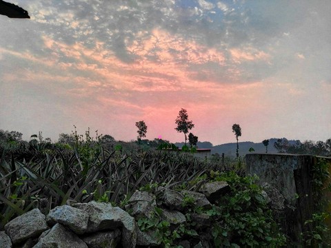 January Sunset