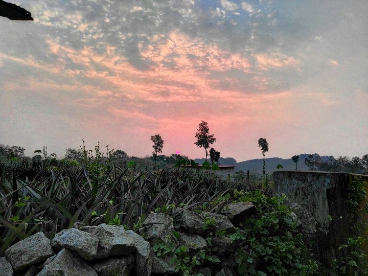 January Sunset