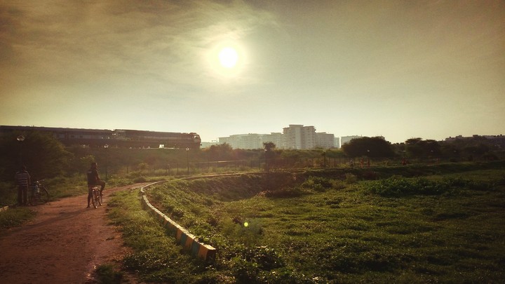 morning bliss