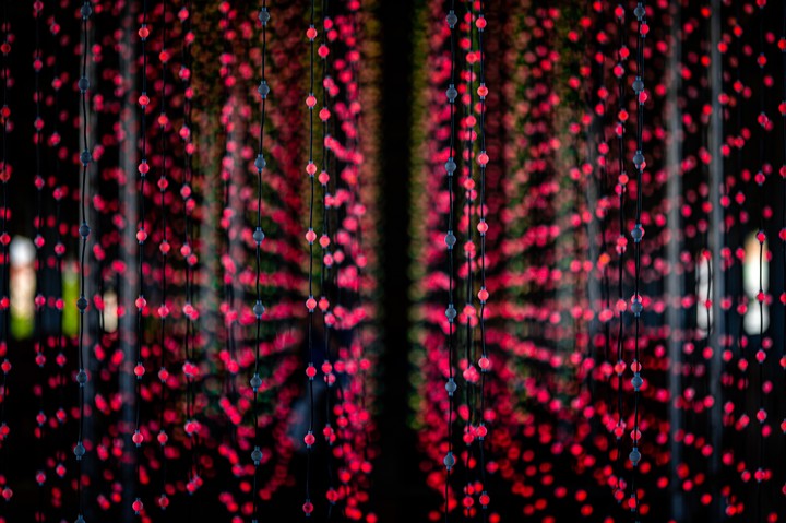 pink light stips bokeh