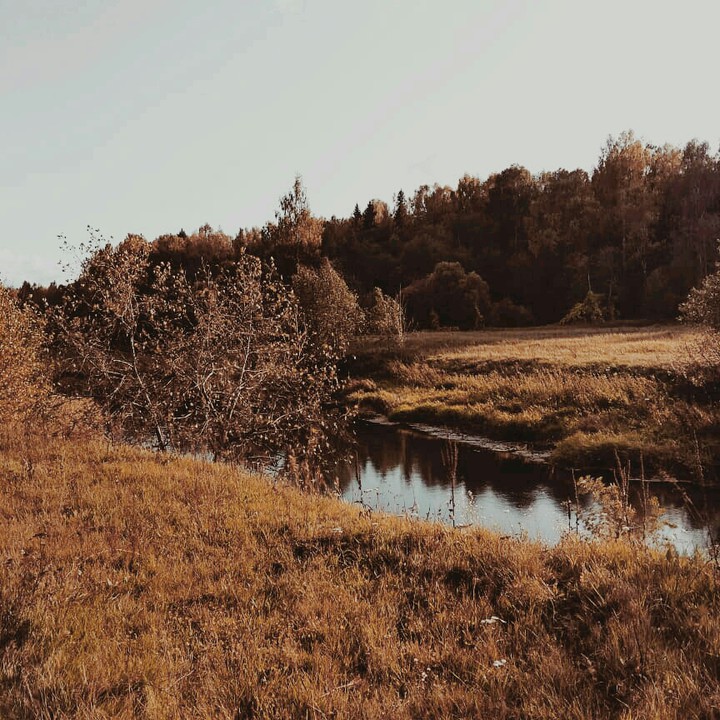 nature