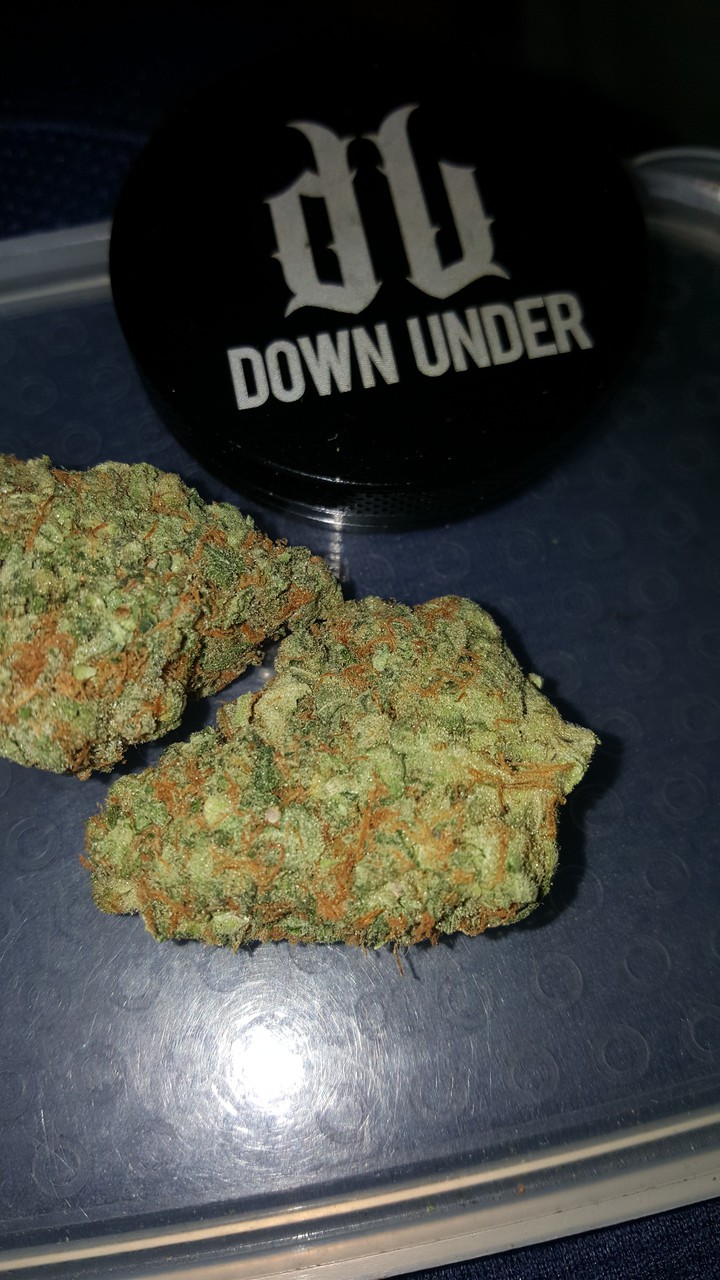 high life