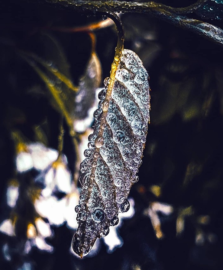 ✨