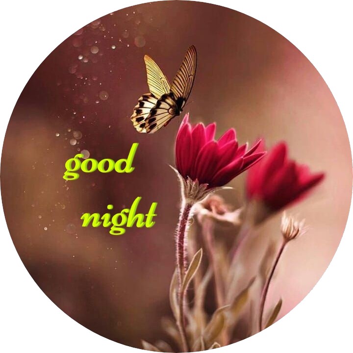 Good Night