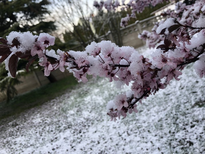 April