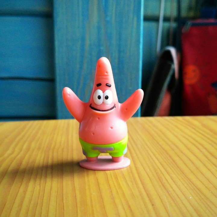 Patrick rejoices at the spring