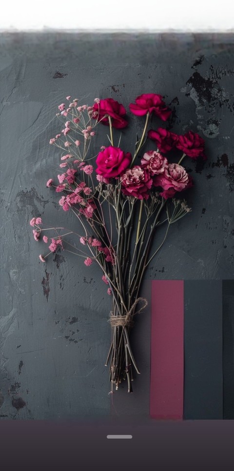 pink, flower Hintergrundbilder