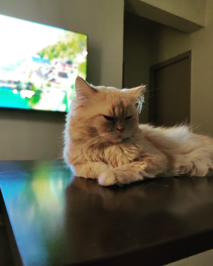 Lazy Morning