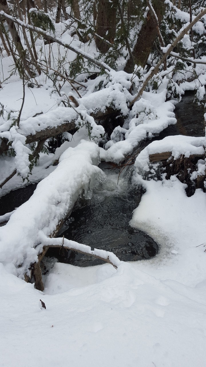 water in winter!