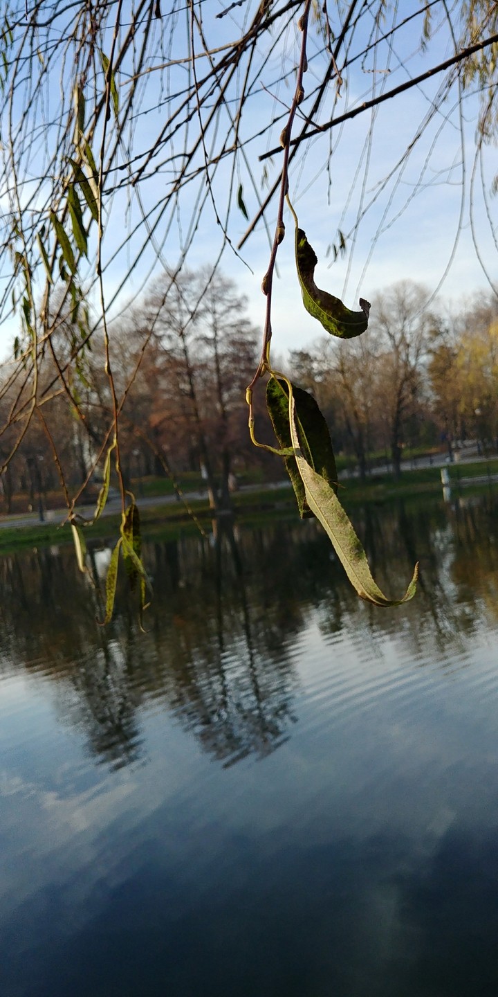 Nature 2