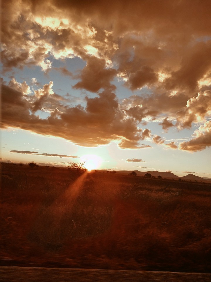 campi atardecer 2