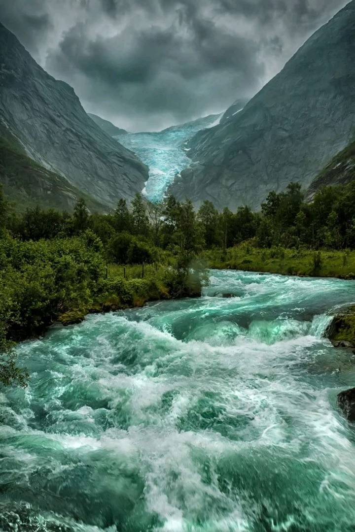 nature