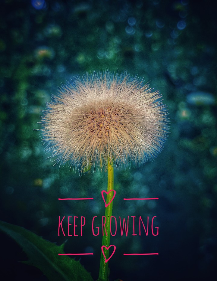 keep growing