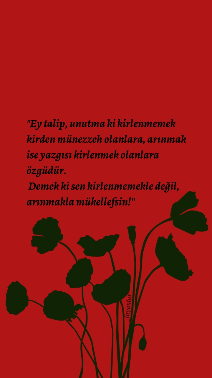 Dücane Cündioğlu