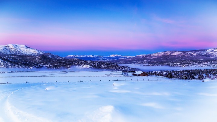Winter Scenic