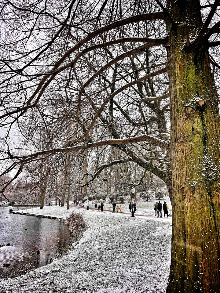 Snowfall