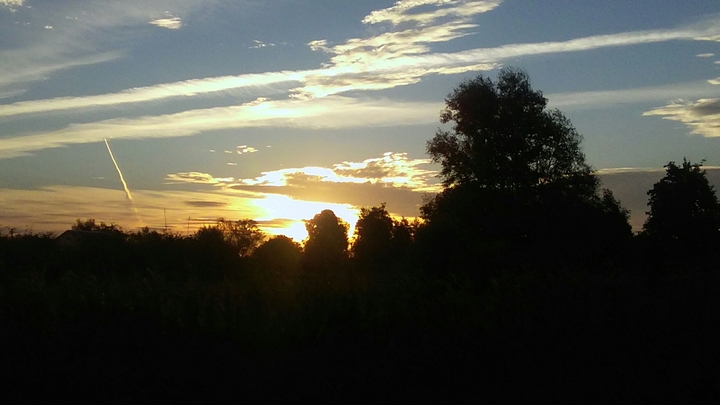 morning
