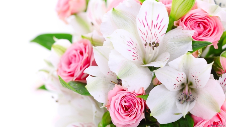 so sweet followers