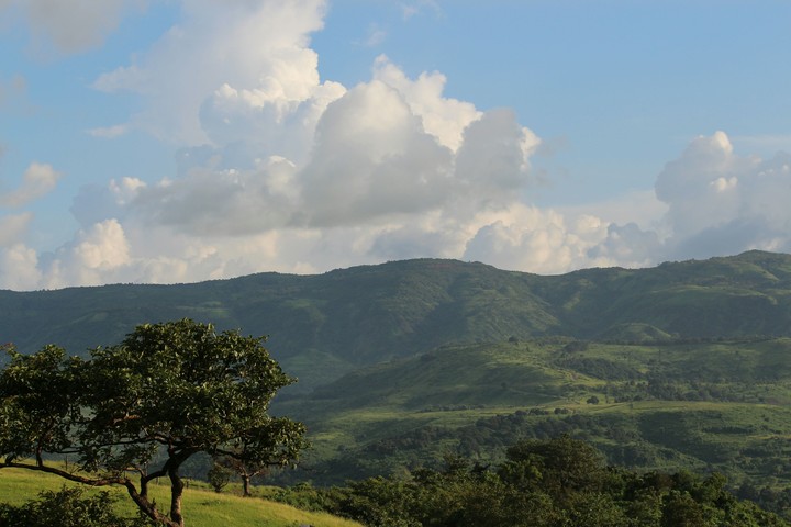 scene