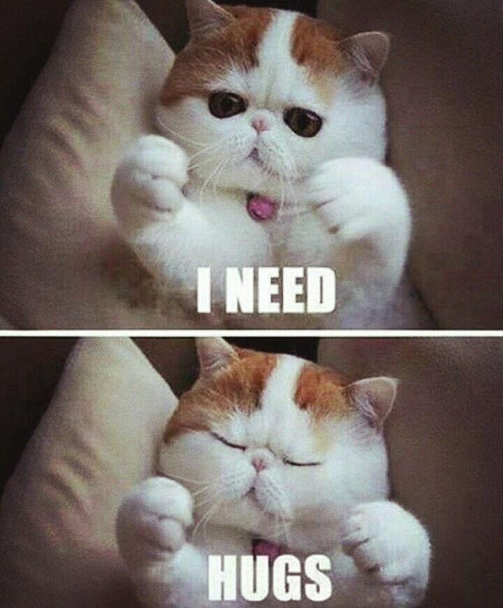 Kitty
