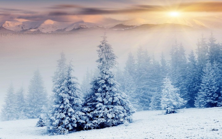 snowy wonderland
