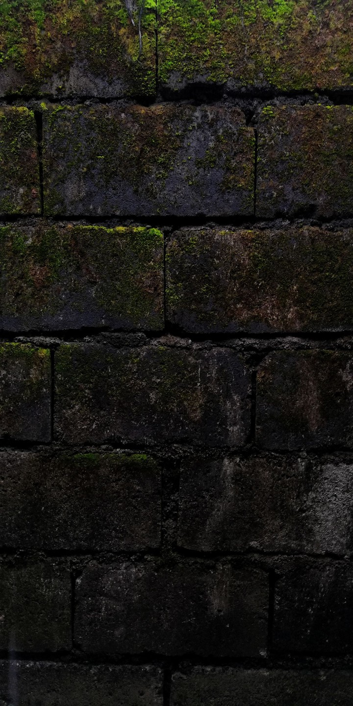 Wall