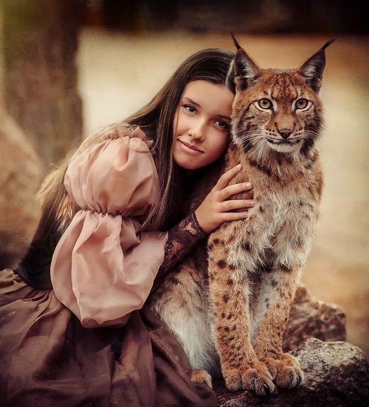 girl & lynx lynx