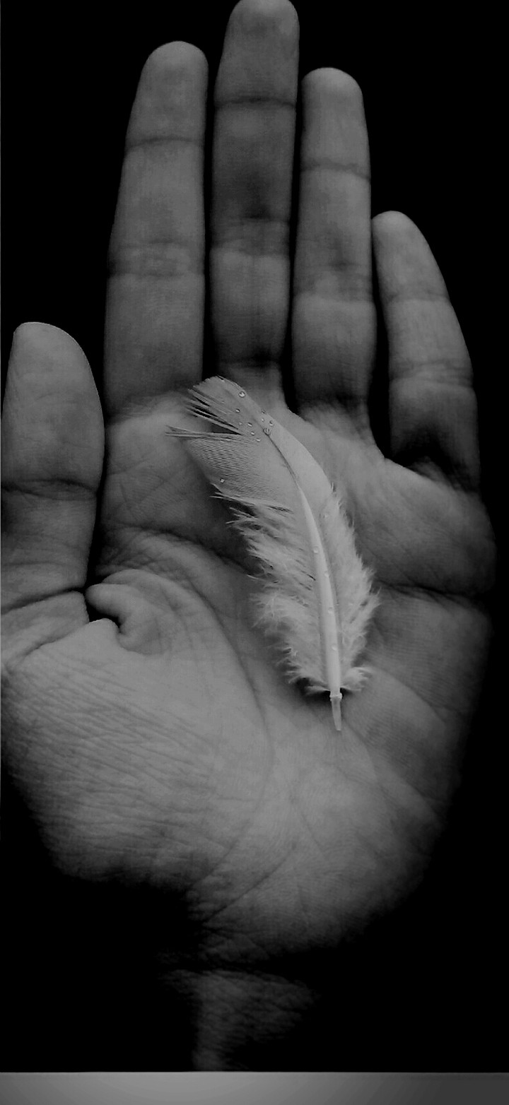 feather...