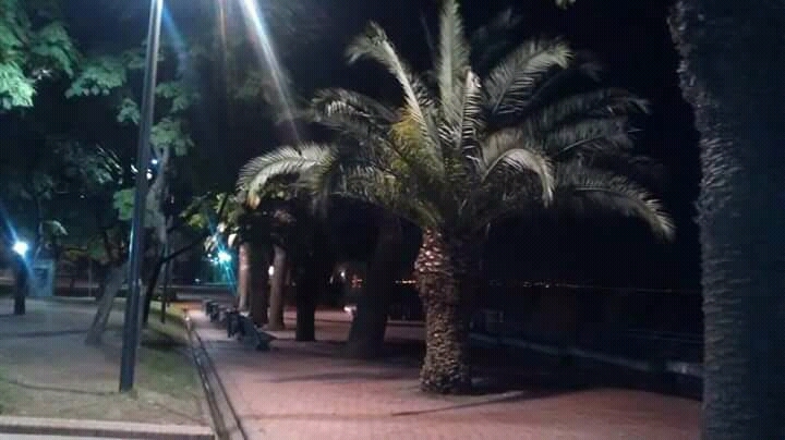 Rosario