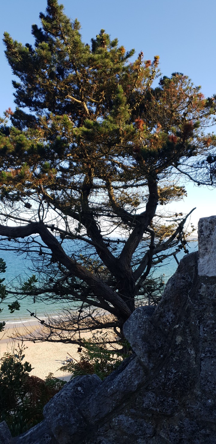 Sea view