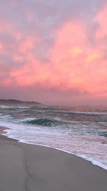 Playa AESTHETIC
