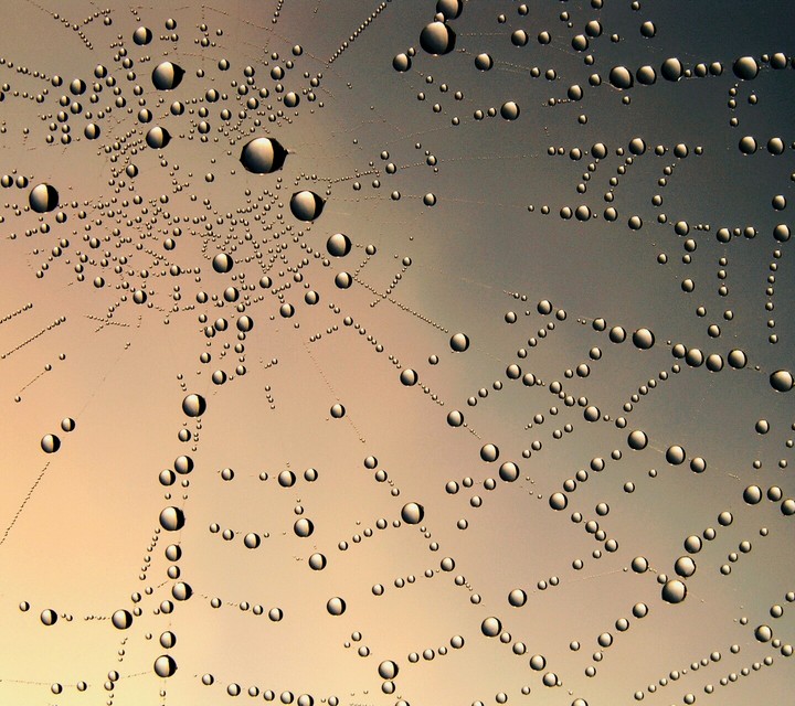 drops