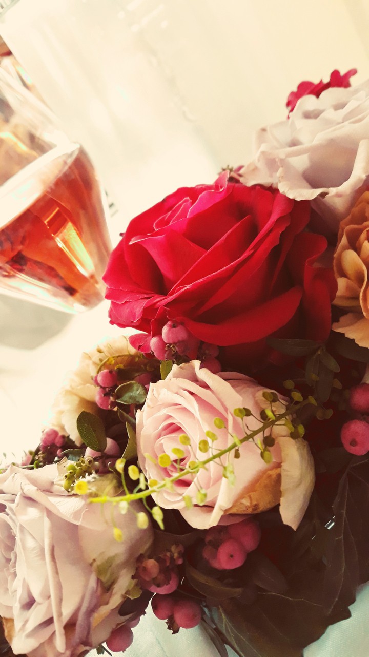 Rose