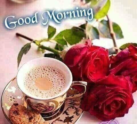 Good Morning