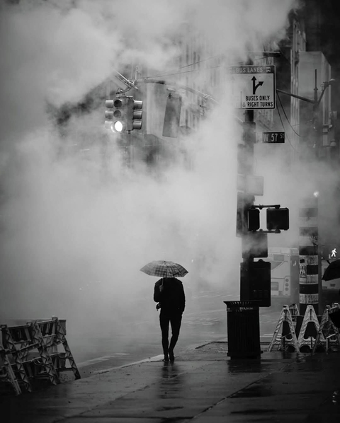 Photography by Phil Penman