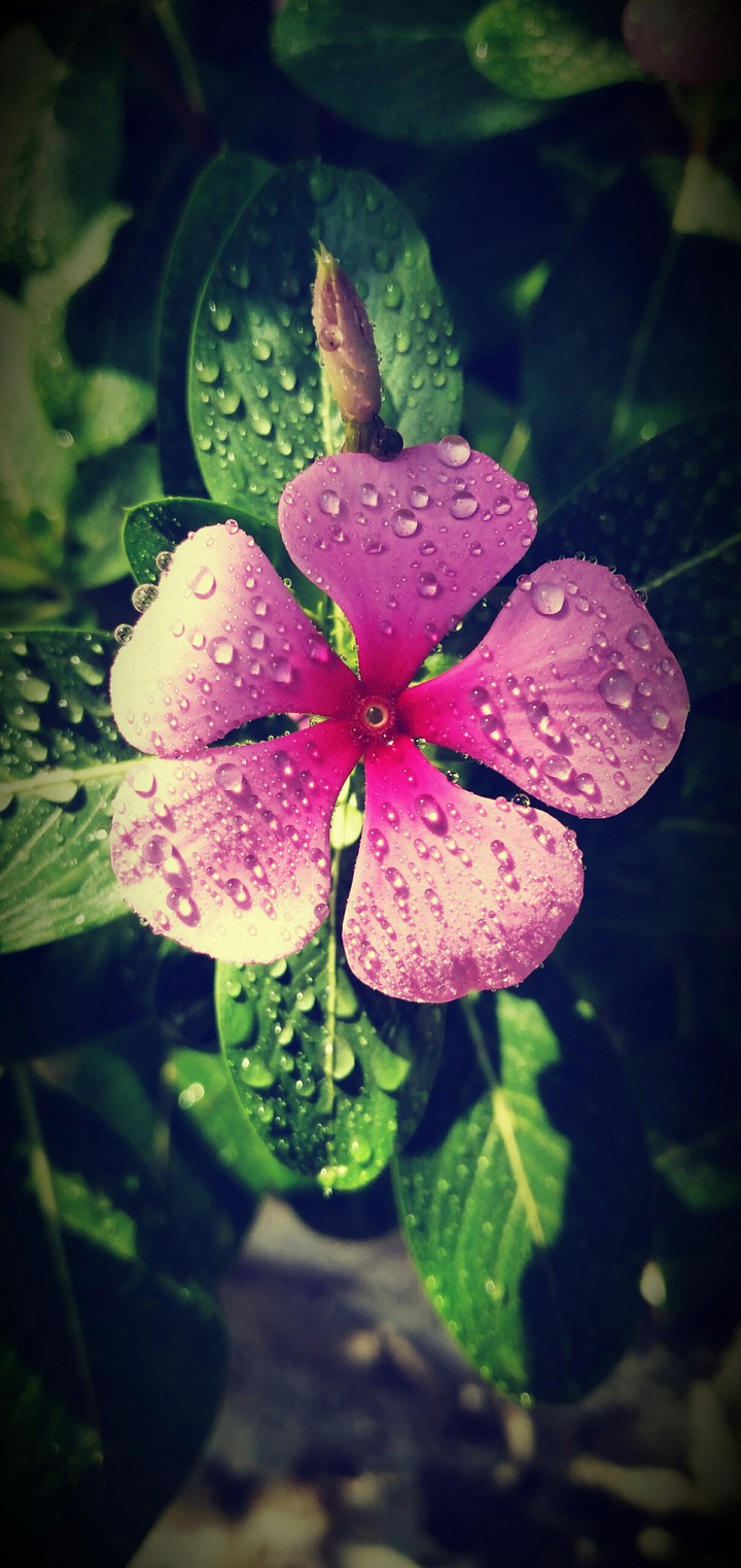 raining cute